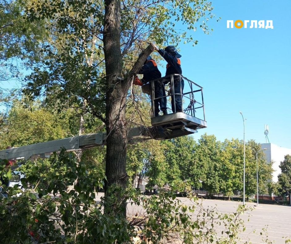 У Києві презентували українську версію європейських стандартів догляду за деревами - зображення